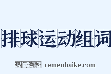 排球运动组词是什么意思的图片